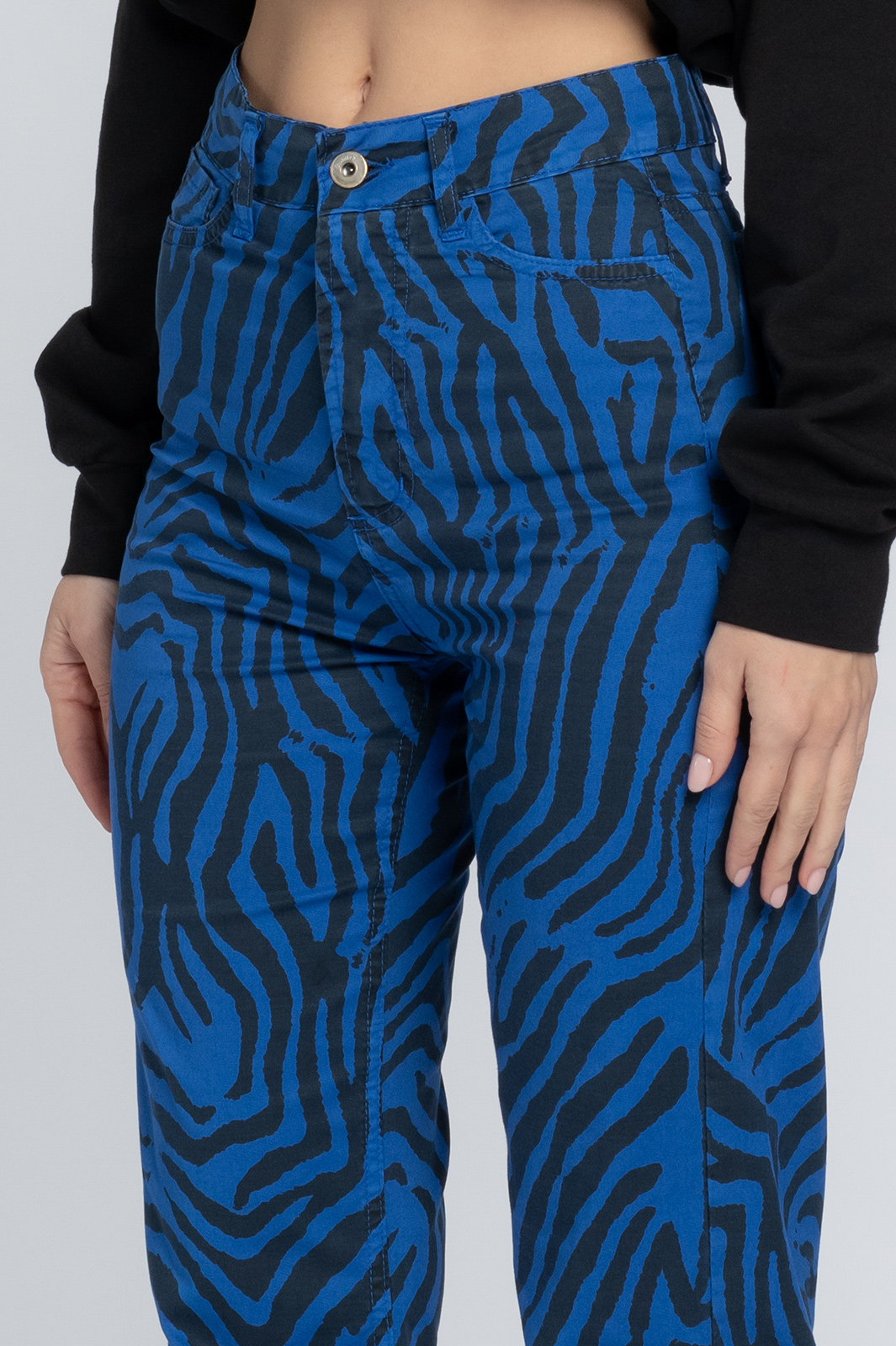 BW2632-pantalone-zebrato-blu-a-zampa-bwhich-02